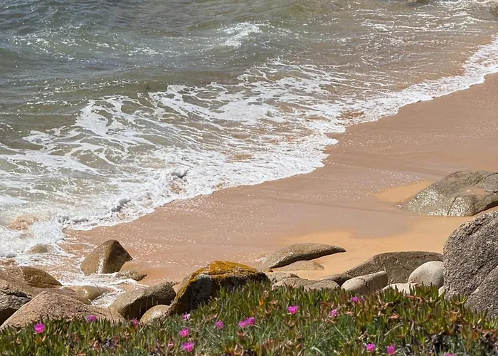 Bonito En La Marinera De Portonovo Lejlighed *